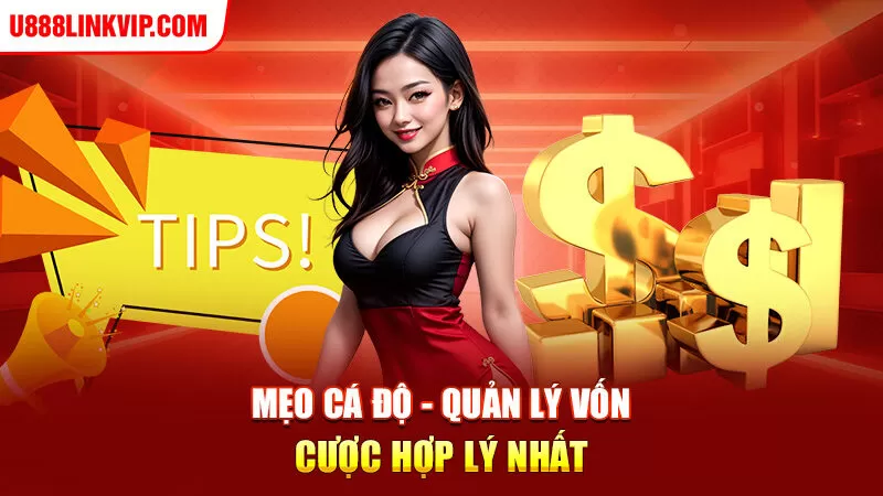 Mẹo cá độ - Quản lý vốn cược hợp lý nhất