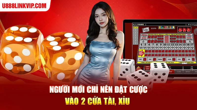 Người mới chỉ nên đặt cược vào 2 cửa Tài, Xỉu