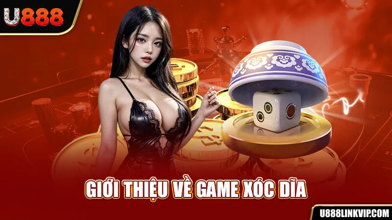 Xóc Dĩa - Chuyên Gia Tổng Hợp Các Mẹo Đánh Luôn Thắng